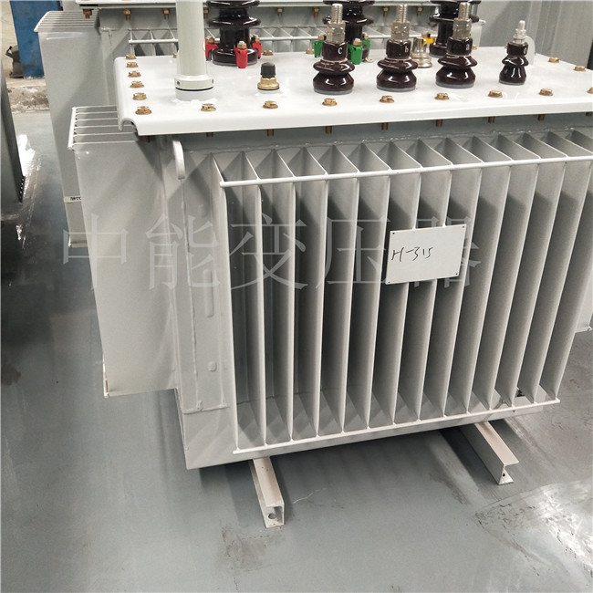 隆德S20-500KVA油浸式变压器